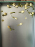 贡苑花草茶 广西原产茉莉花苞【保鲜铁罐125克】 茉莉花茶叶新花干 实拍图