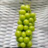 京营觅选阳光玫瑰葡萄晴王香印提子 当季新鲜时令新鲜水果中秋水果 净重2.5斤单粒9-15g 山西阳光玫瑰葡萄 实拍图