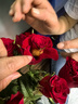 一网情深玫瑰花云南昆明鲜花基地直发玫瑰百合花束鲜切花家庭花材批发 高原红玫瑰（16支+4支防损耗） 实拍图