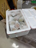 京地达山东铁皮草莓西红柿 净重4斤  水果番茄蔬菜源头直发包邮 实拍图