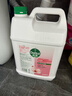滴露（Dettol）洗手液补充装大桶消毒滋润5L 儿童家庭装杀菌护手 实拍图