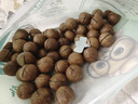 三只松鼠夏威夷果500g/袋 坚果炒货干果约24-26mm大果休闲零食送礼  实拍图