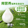 伊利 纯牛奶苗条装 200ml*24盒 优质乳蛋白早餐伴侣 礼盒装 4月底产 实拍图