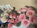 云南鲜花批发品质玫瑰百合水养鲜切花送女友生日礼物源头直发 粉色系洋桔梗200g 【任选2件—不收运費】 实拍图