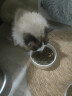 LEGENDSANDY蓝氏乳鸽猫粮幼猫成猫猫零食主食猫条餐包猫咪尝鲜大礼包222g 实拍图