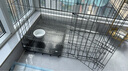 腆宠狗笼猫笼 狗笼子中小型犬带厕所幼犬狗窝猫笼子大号家用围栏兔笼 实拍图