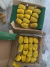 佳沛（zespri）新西兰  阳光金奇异果16粒礼盒经典果单果约 77-103g 水果 猕猴桃 实拍图