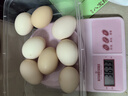 京喜加农家新鲜散养鸡蛋单枚40g正负5g谷饲蛋初生蛋溏心蛋早餐生鲜买菜 8枚 实拍图