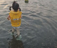 INTEX 58660儿童玩具救生衣浮力背心宝宝玩具游泳装备手臂游泳背心 实拍图