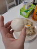 三全葱香手抓饼900g10片装 儿童早餐半成品食品方便速食早点 实拍图