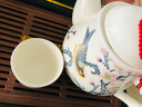 金岚玉骨瓷花茶壶泡瓷茶壶小壶沏茶壶凉水壶单壶小号家用水具 青雀之喜-金钟杯5个玉兰壶 800ml 实拍图