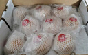 京鲜生 羊脂秋月梨 正宗莱阳 净重10斤15-20粒 单果250g+ 水果礼盒 实拍图