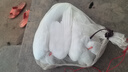 海兰飞工业风扇趴地扇电风扇台式落地扇工地商用台扇坐地风扇爬地大功率工厂强力除甲醛大风力吹地 【16寸家用商用】【风力3-7m】 实拍图