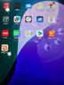 Apple/苹果 iPad mini (A17 Pro) 8.3英寸 平板电脑(128G eSIM版/mini7/MXQ03CH/A)深空灰色 实拍图