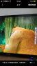夏新（AMOI） 液晶平板智能网络电视机LED高清彩电WIFI卧室电视客厅 酒店停车场显示屏 50英寸高清版（非智能） 实拍图