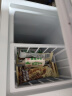 北极熊（BEIJIXIONG）小冰柜家用小型冷冻保鲜迷你冷藏商用卧式冷柜储母乳柜节能省电 单门单温61升【万人力荐 一级能效】 61L 实拍图