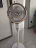 已接入小米家APP选空气循环扇家用落地扇立式台式电风扇一级能效 白金机械版-9D摇头 实拍图