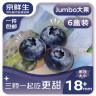 京鲜生 云南蓝莓 6盒装 125g/盒 果径18mm+ 新鲜水果 源头直发 包邮 实拍图