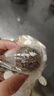 福然通草组合  大通草20g+路路通100g王不留行100g黄芪100g月子汤 实拍图
