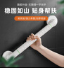 沐唯无障碍卫生间马桶扶手老人安全扶手栏杆专用浴室厕所防摔起身器 实拍图