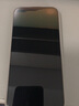 闪魔适用iphone16promax钢化膜苹果16pro钢化膜【康宁玻璃】无尘仓全屏15/16plus高清防指纹手机保护膜 1套装【赠专利无尘仓】 【苹果16ProMax】超增透康宁玻璃 实拍图