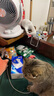 欢宠网宠物狗毛猫毛清理器强力吸尘器吸毛器吸床上猫咪毛发专用电动神器 实拍图