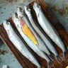 美加佳加拿大冷冻满籽多春鱼 480g 带籽率99% 煎炸烧烤食材 海鲜水产 实拍图