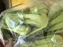 上海青（油菜）约500g 实拍图
