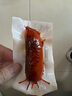 双汇 香辣香脆肠 40g*16 即食火腿肠  休闲零食 脆皮肠 速食出游 露营 实拍图