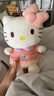 Hello Kitty三丽鸥毛绒玩具猫咪玩偶摆件布娃娃抱枕生日礼物女生 凯蒂猫公仔 实拍图