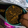 麦富迪猫粮 鲜肉夹心双拼猫粮 鱼油羊奶猫草夹心成年猫幼猫通用全价猫粮 【美毛护肤】鱼油蛋黄夹心粮2kg 实拍图