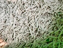 宠洁优除尿味MAX混合猫砂结团净尘抗沾底豆腐砂抑菌吸水2.5kg*8包 实拍图