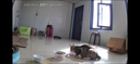 麦富迪猫罐头 成幼猫通用猫零食湿粮 浓汤三种肉鱼油小金罐混合装85g*24 实拍图