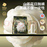 babycare【安全灭菌】山茶花一次性内裤月子大码日抛出差旅行15条XXL码 实拍图
