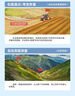 东美（Dongmei）测亩仪田地高精度土地面积测量仪GPS定位六星手持车载计亩仪器 实拍图