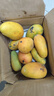 柏馋海南小台农芒果新鲜现摘小台芒应当季热带水果南方特产甜心熟芒果 3斤 净重2.5-2.8斤 大果单果90-120g 实拍图