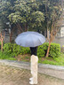 明佳匠全自动雨伞大号加固加厚结实抗风折叠伞双人晴雨可定制遮阳太阳伞 星曜黑- 【24骨】全自动雨伞 【轻便遮阳-加大伞面-防雨防晒】 实拍图