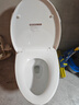 恒洁（HEGII）马桶171 家用节水防臭水净釉面虹吸式坐便器HC0171PT0E-305 实拍图