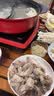 海南椰子肉常温老椰肉200g原味保鲜金椰果肉椰子鸡煲汤榨汁椰肉块 椰子肉200g*1袋 实拍图