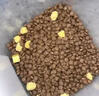 麦富迪猫粮 超肉粒冻干双拼成猫粮美毛护肠胃 三文鱼10kg（2kg*5） 实拍图