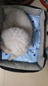 憨憨乐园宠物冰垫狗狗垫子防水夏季降温猫咪凉席泰迪金毛中小型犬用品 L 实拍图