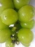 果贤达晴王阳光玫瑰葡萄日本引进品种当季新鲜无核无籽香印葡萄水果 1.5斤 【尝鲜装】 实拍图