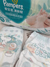 帮宝适超薄透气清新帮透氧Pro新生儿婴儿纸尿裤尿不湿尿片mini M38 实拍图
