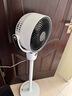 艾美特（AIRMATE）【小暴风语音】空气循环扇大风量电风扇家用小型落地扇升级加高电扇轻音柔风小风扇 FA18-SR160 实拍图