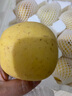 泽华果品山东烟台维纳斯苹果 栖霞黄苹果水果整箱源头直发包邮 净重4.5-5斤单果160g+ 源头直发 实拍图