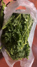 绿食者 羽衣甘蓝 绿叶甘兰嫩叶芥蓝菜kale西餐沙拉健康轻食新鲜蔬菜 500g 实拍图