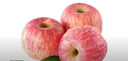 京鲜生 山东栖霞红富士苹果精品12粒 单果190g-240g  水果礼盒 实拍图
