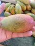 遇见悯农新鲜水果芒果生鲜贵妃芒小台芒送礼佳品热带水果 净重2.5斤【台芒小果40g起】 实拍图