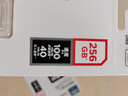 闪迪（SanDisk）256GB TF（MicroSD）4K内存卡 行车记录仪 监控摄像头专用 20,000小时录制 重复读写高耐用存储卡 实拍图