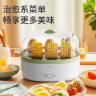 志高（CHIGO）煮蛋器蒸蛋器 家用电蒸锅多功能早餐煮蛋机 防干烧煮蛋神器 可煮7个蛋【配蒸碗+量杯】ZDQ208 实拍图